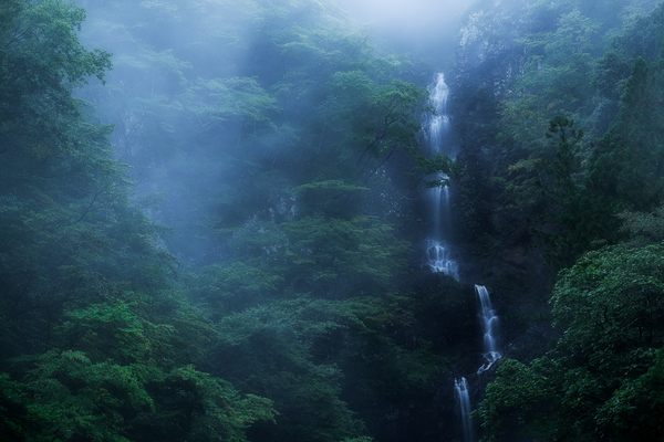 幽谷の山ノ神の滝