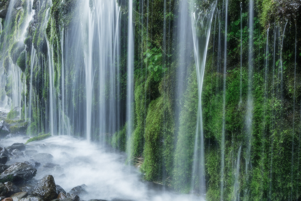 苔生す湧水の滝、小滝
